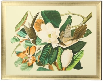 R. Havell & Son Framed Bird Archival Print