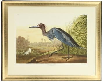 R. Havell Frame Bird Archival Print