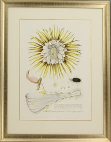 Archival Print of Large Flowered Cactus