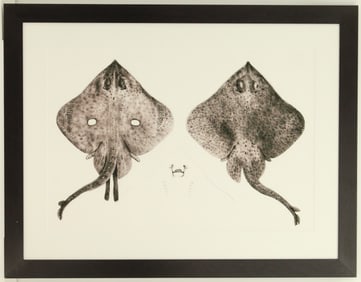 Sting Ray Archival Print