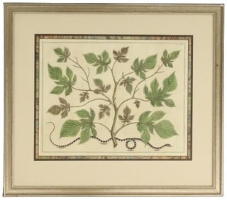 Tree And Snake Archival Print