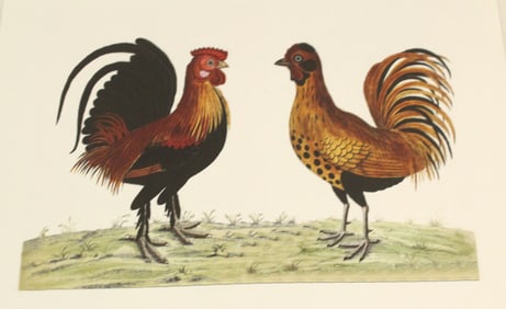Archival Print of Bantham Rooster and Hen