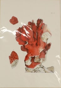 Archival Print of Red Coral