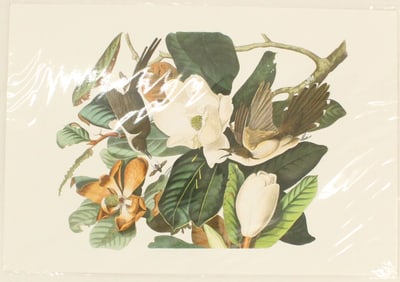 Archival Print of Cuckoo & Magnolia