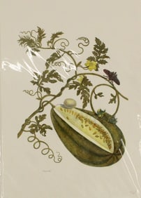 Archival Print of Watermelon