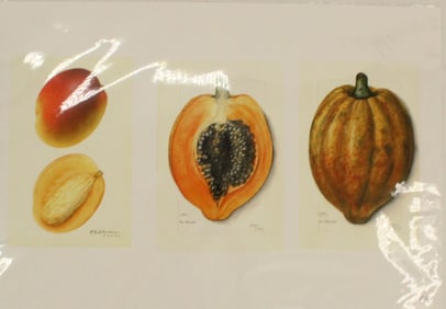(3) Mounted Archival Print of Mango & Papaya