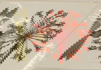 Archival Print of Candelabra Lily