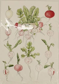 Archival Print of Radishes