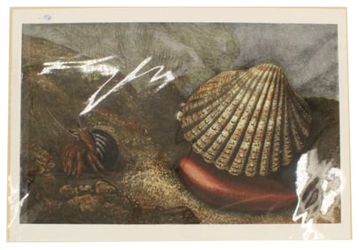 Charles Kingsley (1819-1875) English, Archival Pr