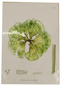 Henry Bradbury (1829-1860) English, Archival Pr