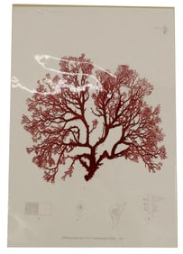 Henry Bradbury (1829-1860) English, Archival Pr