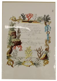 George Wolfgang Knorr Archival Print