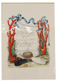 George Wolfgang Knorr Archival Print