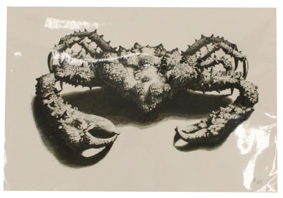 Maria S.  Merian  (1647-1717) German, Archival Pr