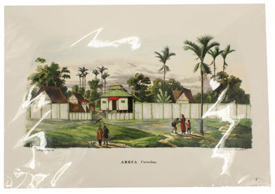 Carl Martius (1794-1868) German, Archival Print