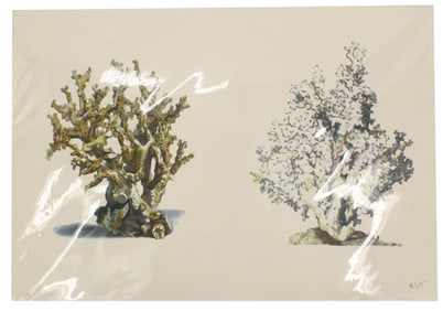 Pierre Francois Barrois Archival Print