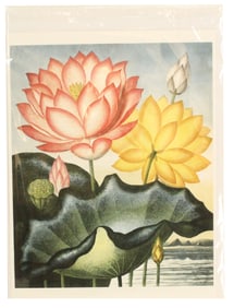 After Peter Henderson Archival Print