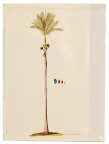 Nikolaus Joseph von Jacquin (1727-1817)Dutch, Pr