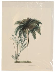 Joao Rodrigues(1842-1909) Brazilian, Archival Pr