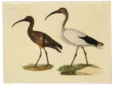 Friedrich Savigny (1779-1861) German, Archival Pr