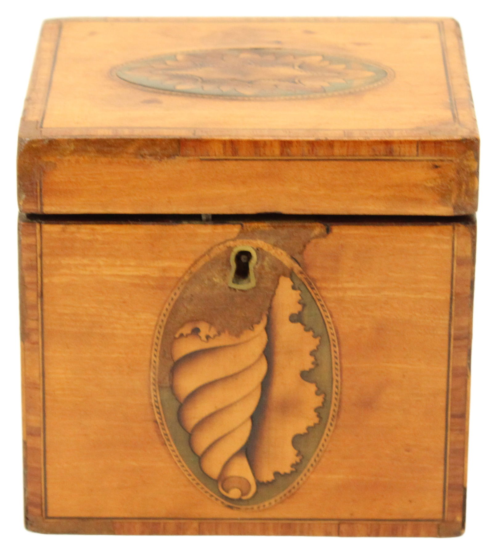 English George III Inlaid Satinwood Tea Caddy (1 of 16)
