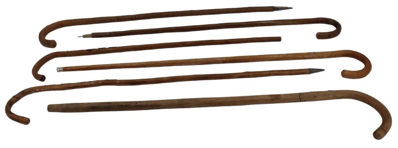 Group of 6 Canes with Medallions or Badges of Past Travels: Group of 6 Canes with Medallions or Badges of Past Travels. Including Germany, Austria, Mexico and many more. One reads: The Grossglockner which is the highest mountain in Austria, standing