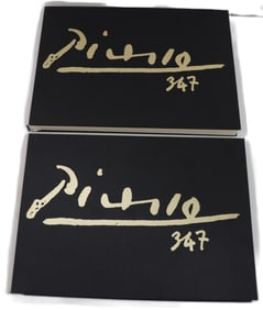 First Edition Two Volume Box Set of Picasso 347