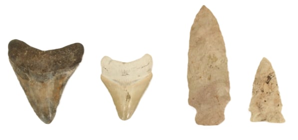 2 Sharks Teeth and 2 Arrow Heads