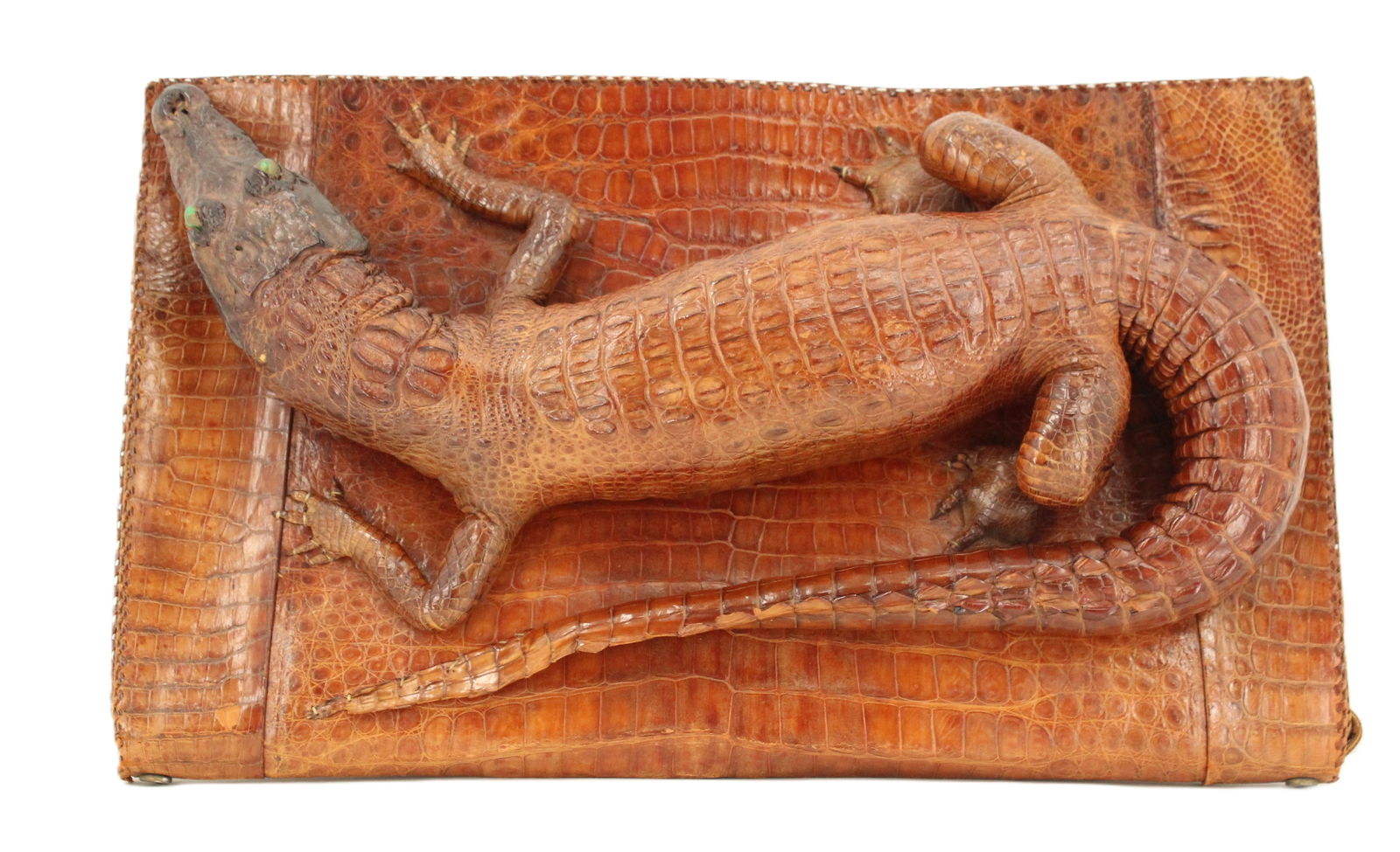 1940s Genuine Alligator Skin Purse with Taxidermied Baby Gator (1 of 20)