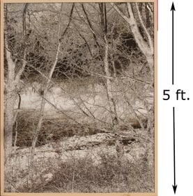 Large Framed Black & White Forest Vertical Landscape Print