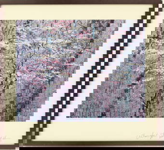 Christopher Burkett Pink and White Dogwood Photograph Signed: Christopher Burkett Pink and White Dogwood Photograph Signed. American photographer best known for his mastery of cibachrome hand printing. Christopher Burkett (born 1951) is an American&nbs