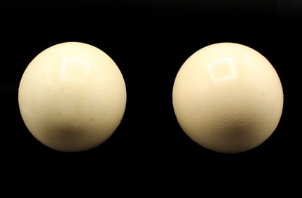 (2) Hollow Ostrich Eggs