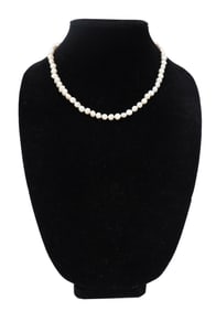 Freshwater Pearl Necklace