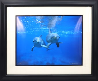 Robert Wyland (Born 1956) Numbered and Framed Underwater Photograph Digital Print
