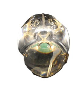 Signed Steuben 18k Gold Scarab