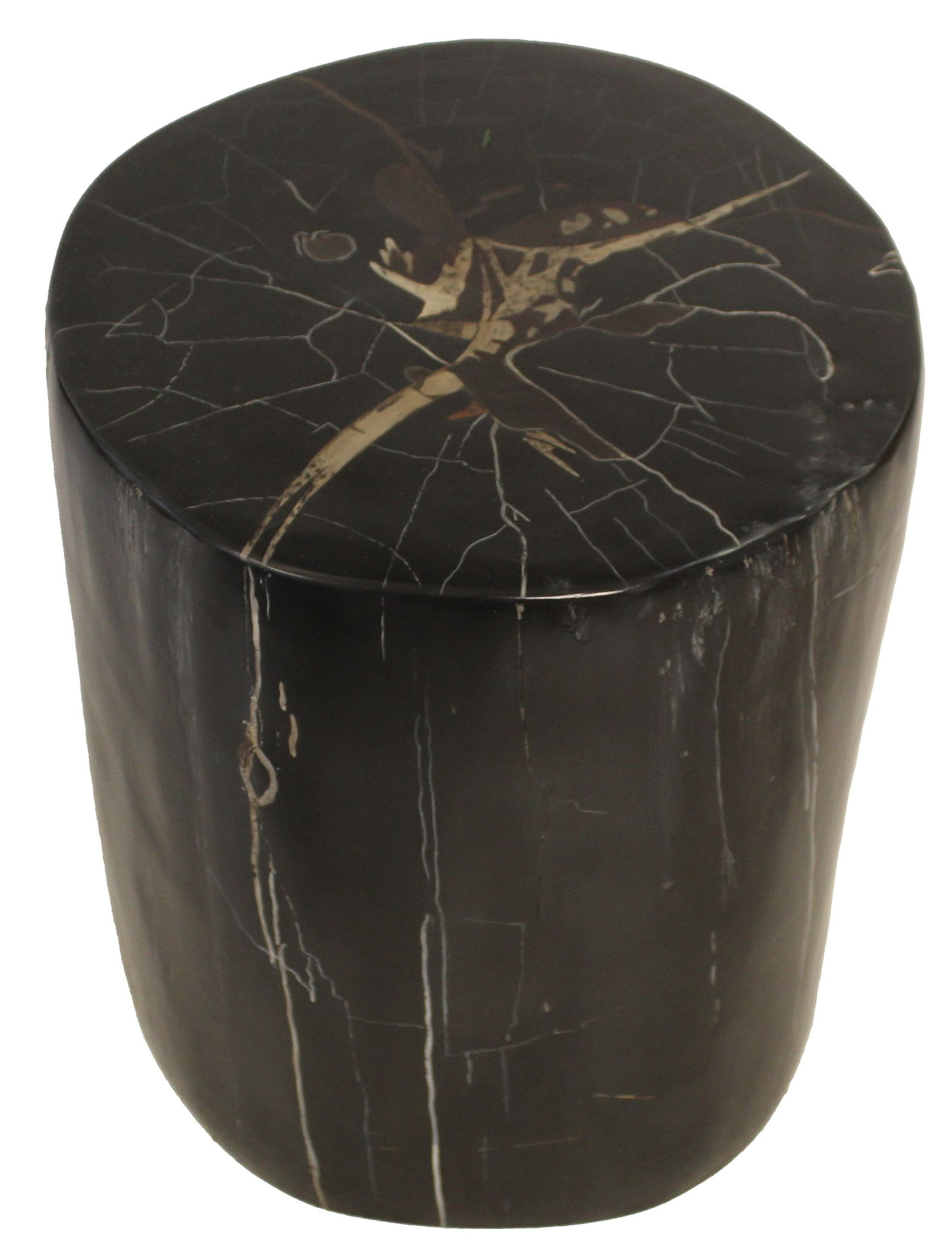 Petrified Wood Stump Stool (1 of 15)
