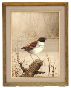 E. Santos 20th Century Finely Detailed Painting of a Wood Thrush by a River