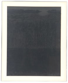 Jimmy Ernst (1920-1984) American, Multi Ink Serigraph "Sea of Grass"