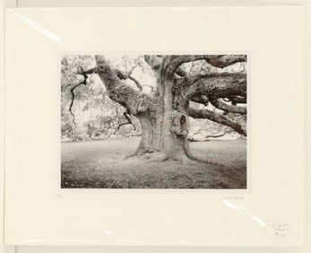 Paul Shatz (21st Century) American, Limited Edition Photograph Print