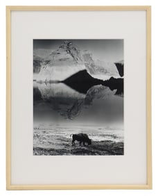 Barbara Kline (20th/21st Century) American, Original Silver Gelatin Print Photograph of Buffalo
