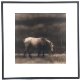 Jack Spencer (Born 1951) American, Gelatin Silver Print "Wild Horse"