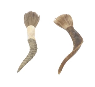 (2) Rust Naturalistic Horn Art Brushes