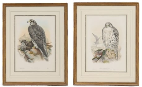 John Gould (1804-1881) English, (2) Framed Bird Prints