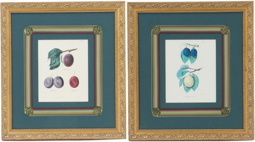 Pair of Antique American Botanical Fruit Prints Mulberry Plum" and "Bleeker Plum" by F.J. Swinton