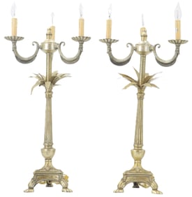 Pair of Electrified Candelabras