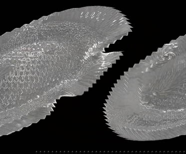 French Arcoroc Mid Century Modern Glass Fish Platter: French Arcoroc Mid Century Modern Glass Fish Platter. Unsigned. Condition: Good. Size: 15 1/2 x 12 3/4 in. Arcoroc is a company established in 1958 in France as one of the food