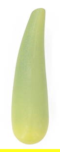 David C. Heaps (1955-2022) American, Ceramic Yellow Squash Wall Sconce: David C. Heaps (1955-2022) American, Ceramic Yellow Squash Wall Sconce. Signed on back and dated 2003. Condition: Good. Size: 3 x 3 x 12 in. David Calvin Heaps was born in Street, Maryland on August