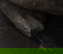 item-210373009=12