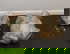 item-210373009=13