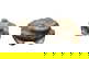 item-210373009=1